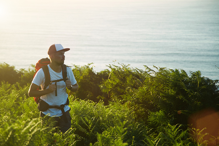 Hiker with backpack walking through lush green ferns on coastal trail overlooking ocean at sunrise demonstrating eco-friendly travel