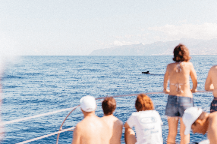 What is Sustainable Tourism
